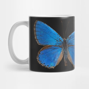 Special Blue Butterfly | Entomology Lover Mug